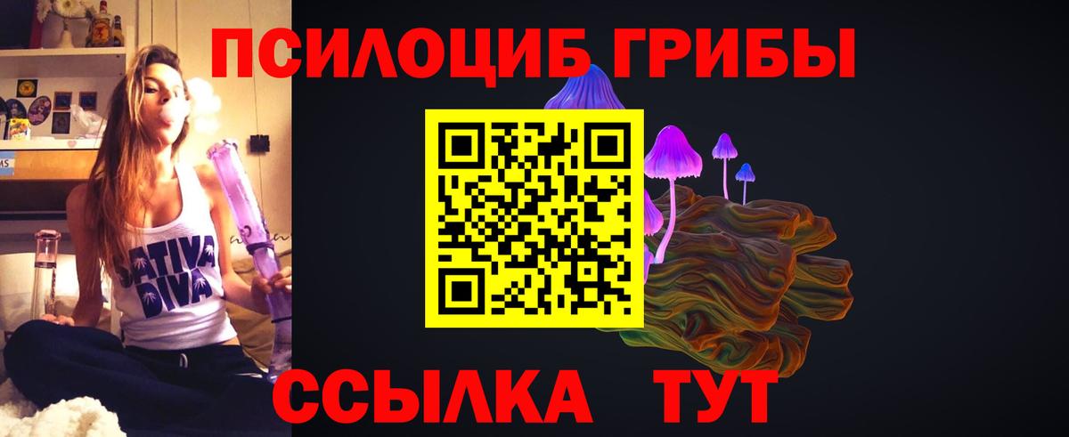 Псилоцибиновые грибы Psilocybe  Вход с VPN  Саянск 